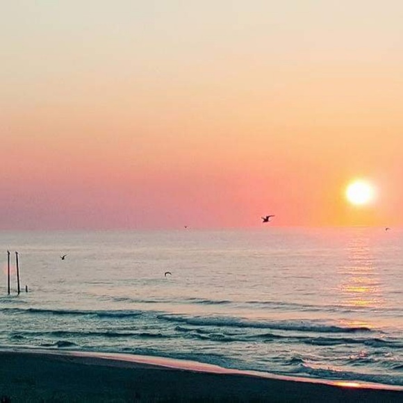 Meet your Posher, thredcollective - Picture 4 of 5